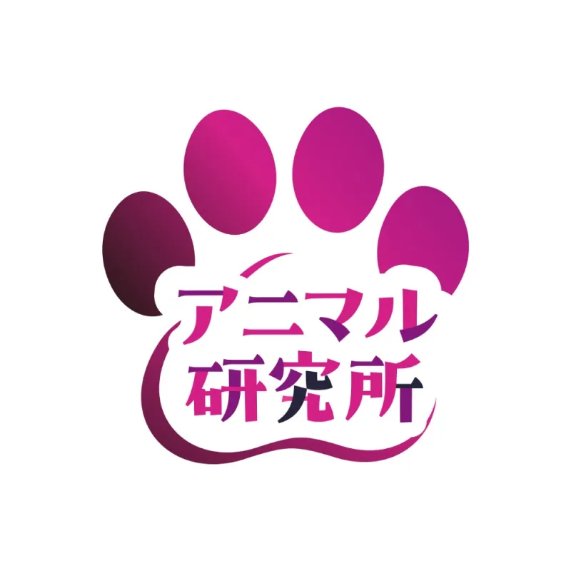 本文説明画像