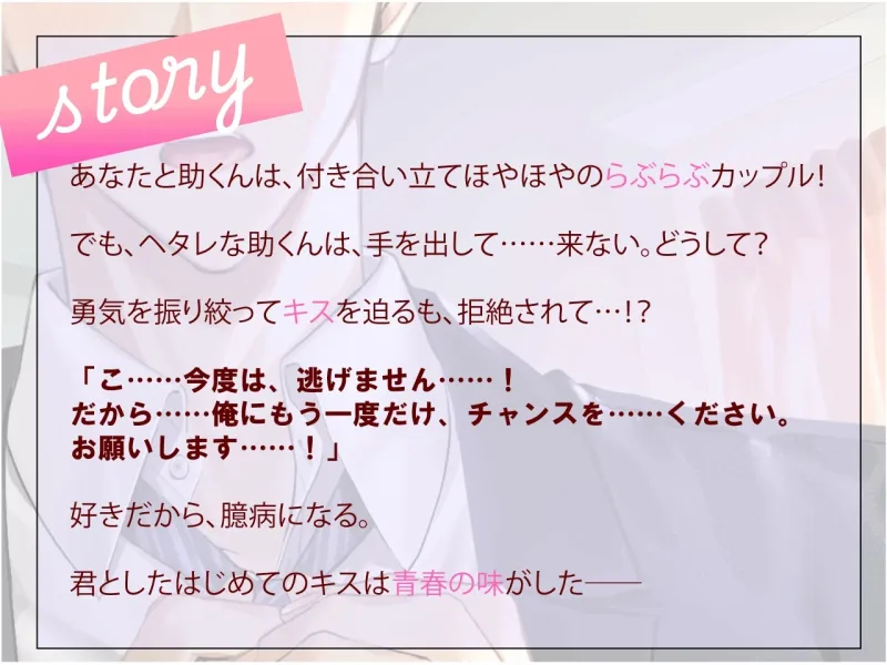 本文説明画像
