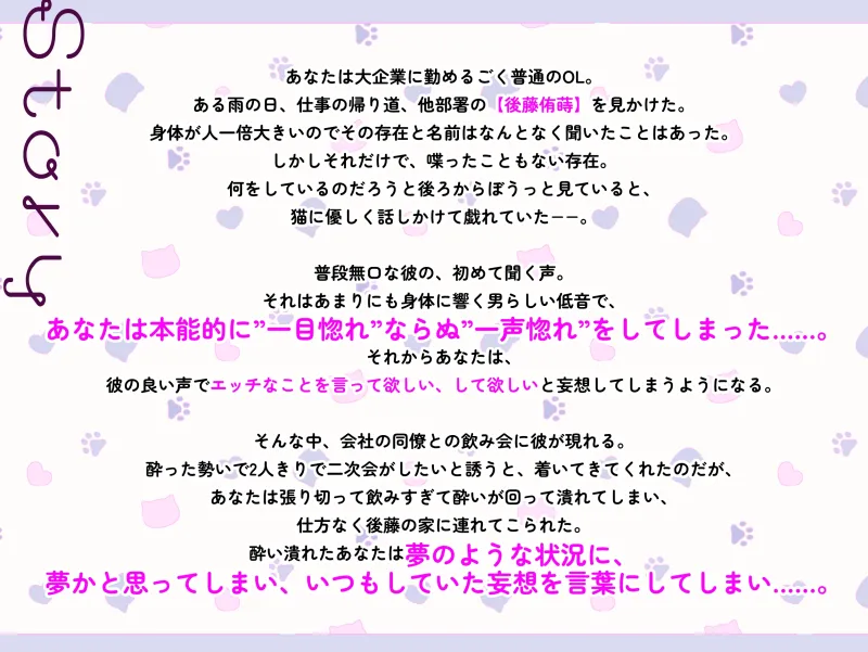 本文説明画像