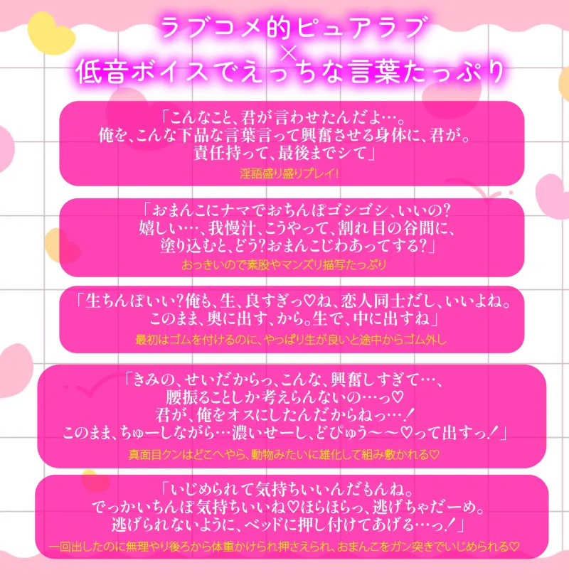 本文説明画像