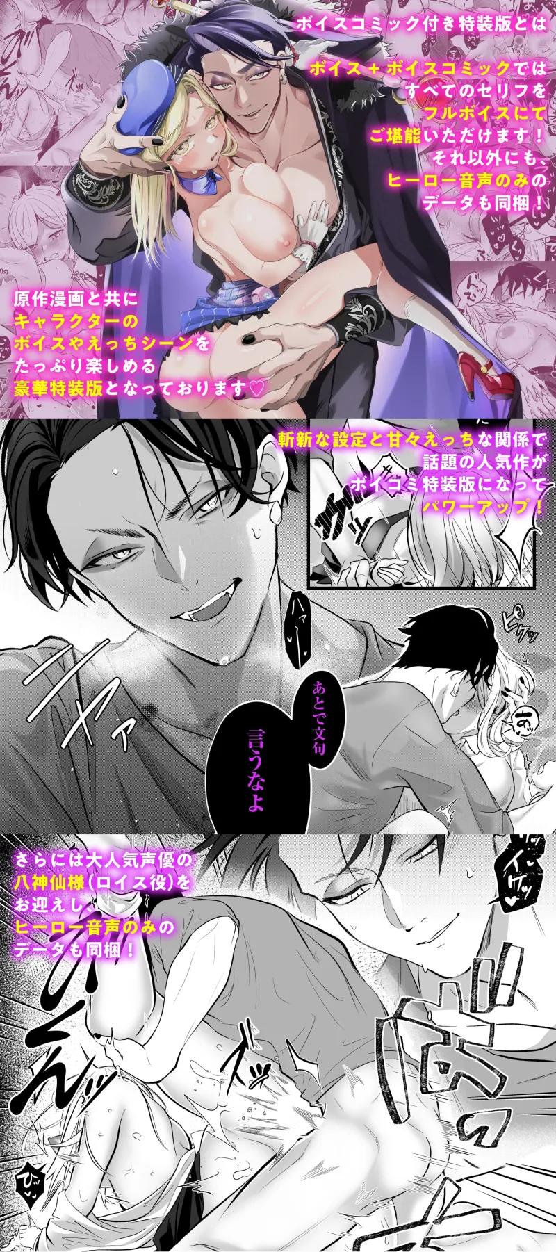 本文説明画像