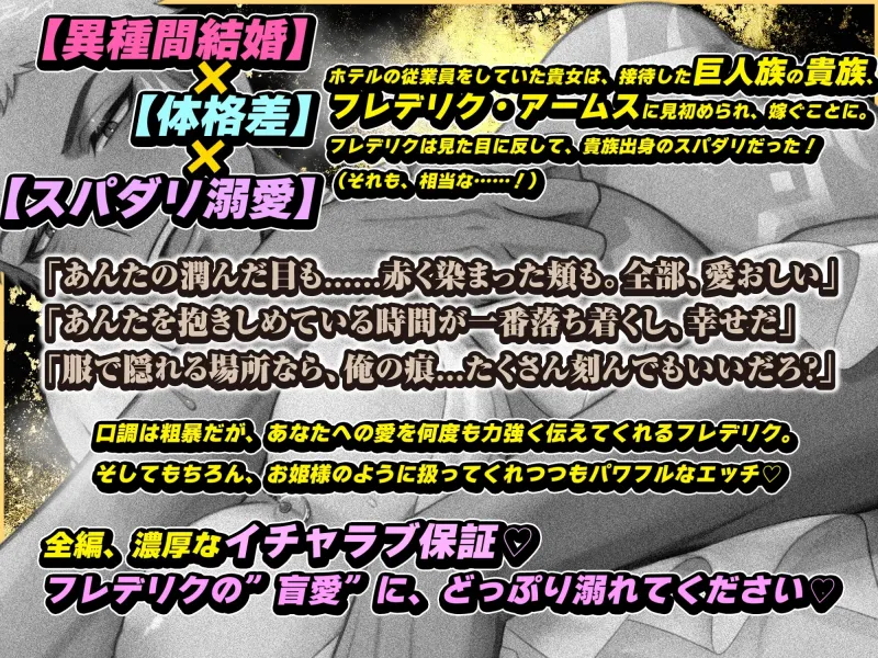 本文説明画像