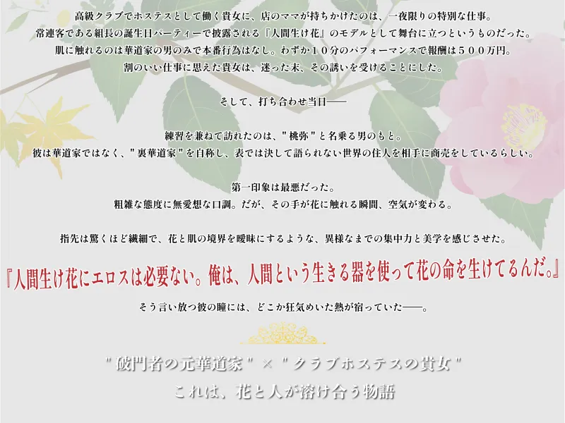 本文説明画像