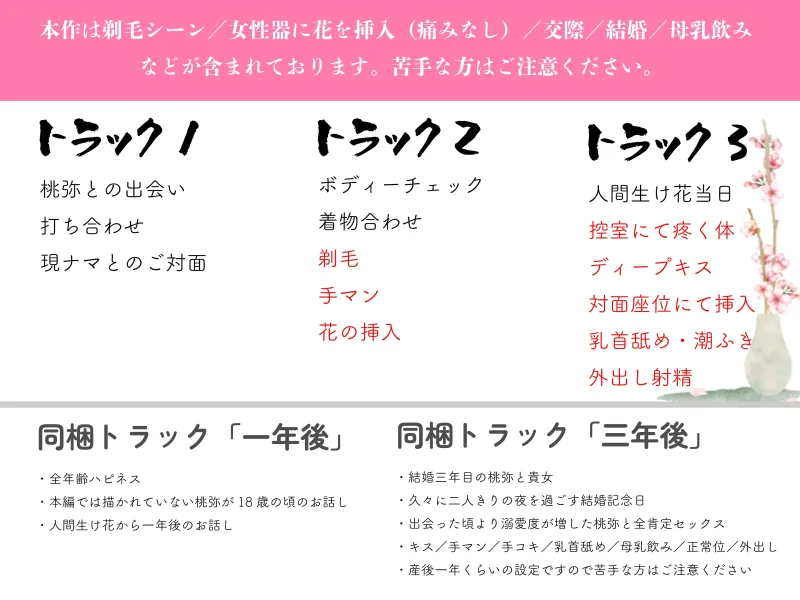本文説明画像