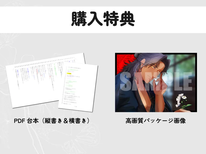 本文説明画像