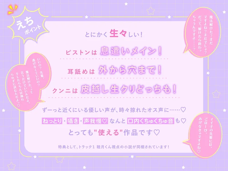 本文説明画像
