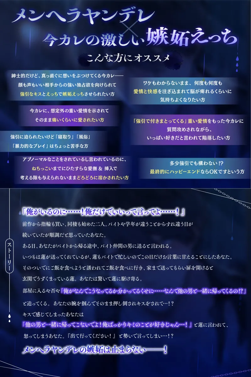 本文説明画像