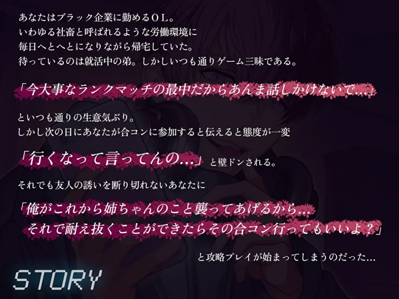 本文説明画像