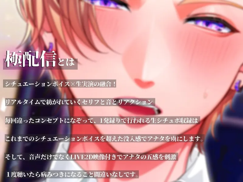 本文説明画像