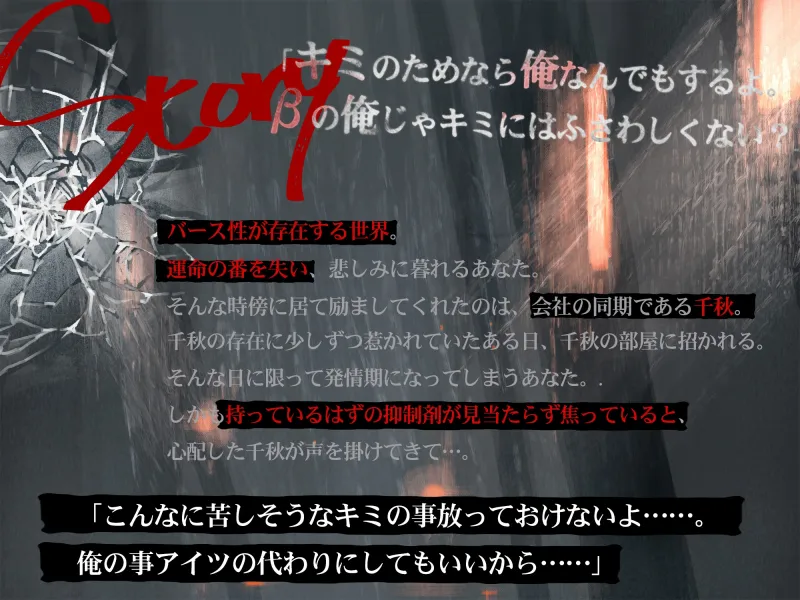 本文説明画像
