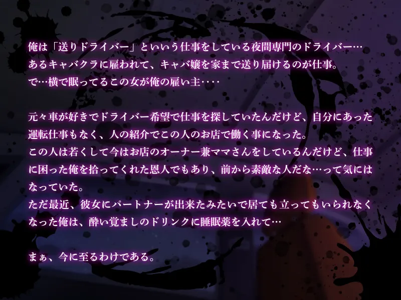 本文説明画像