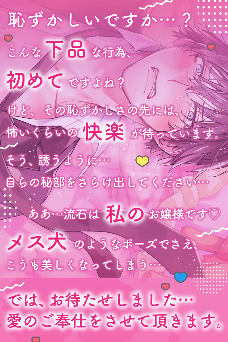 本文説明画像