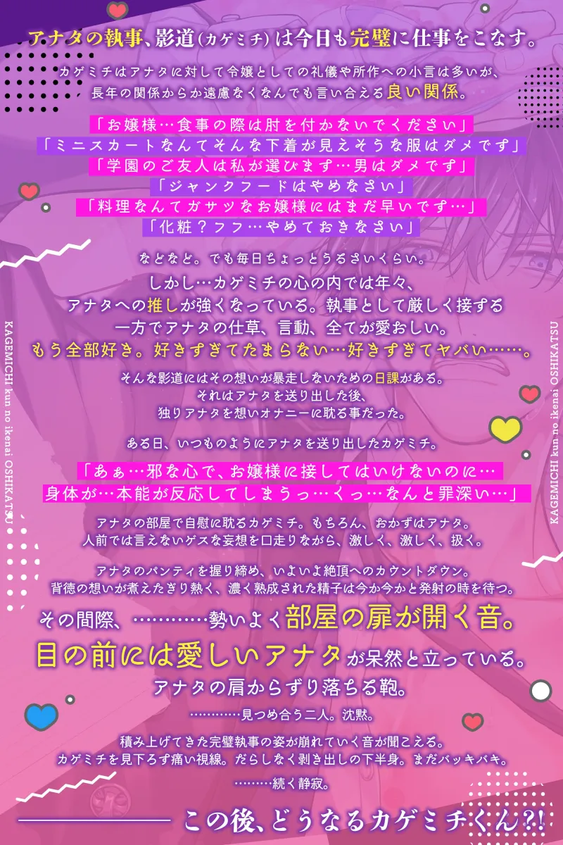 本文説明画像