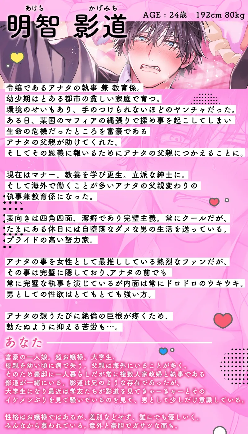 本文説明画像