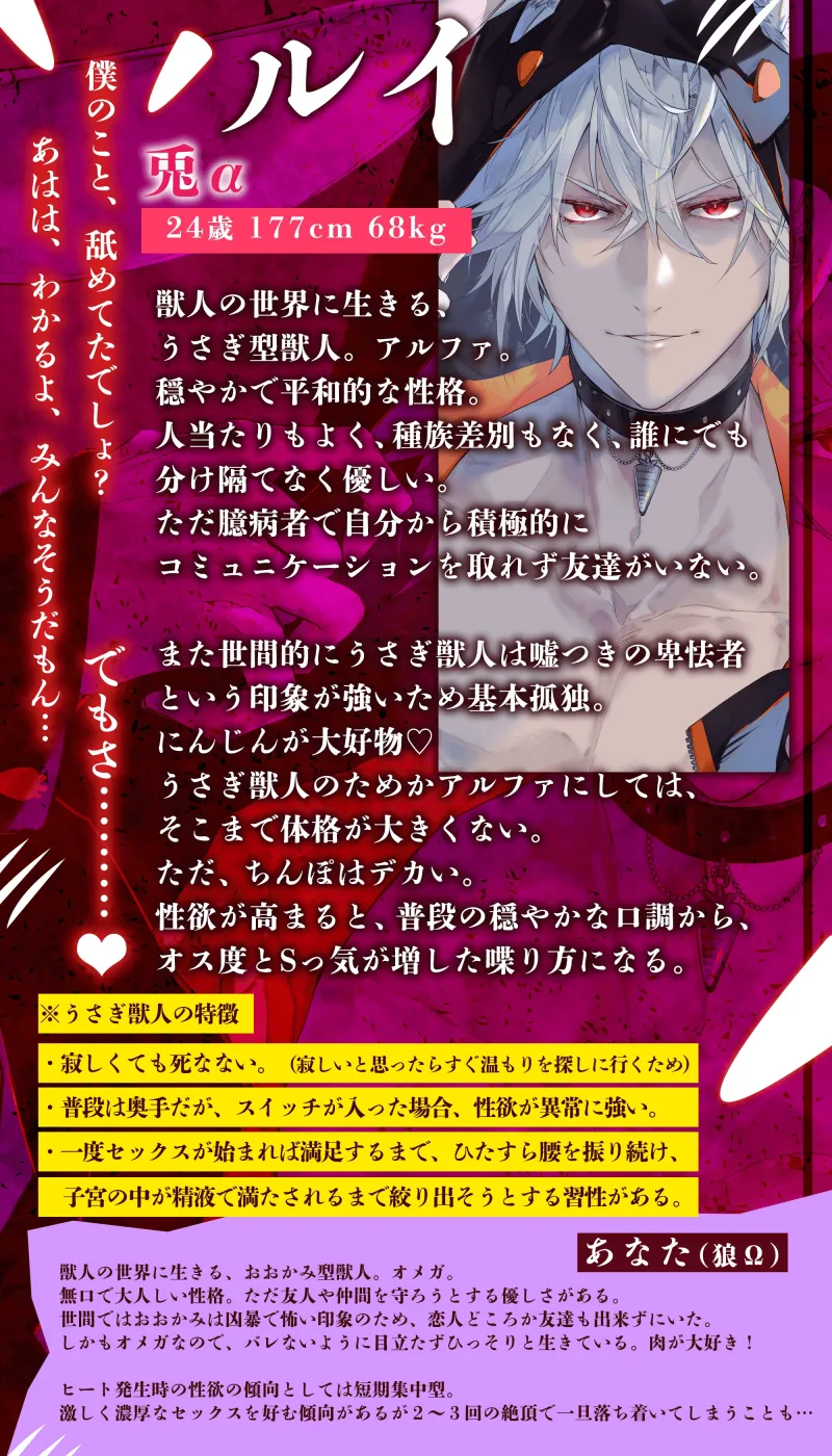 本文説明画像