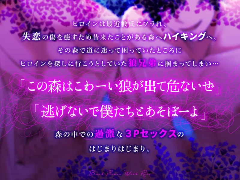 本文説明画像