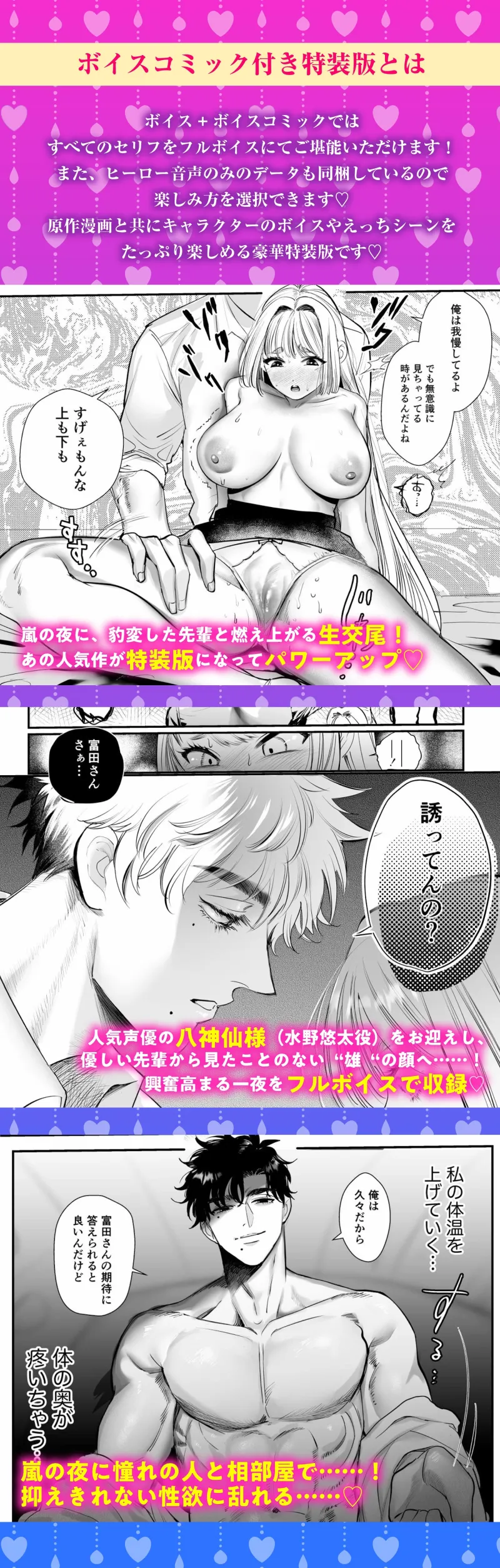 本文説明画像