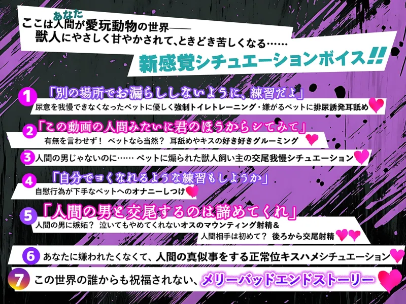 本文説明画像