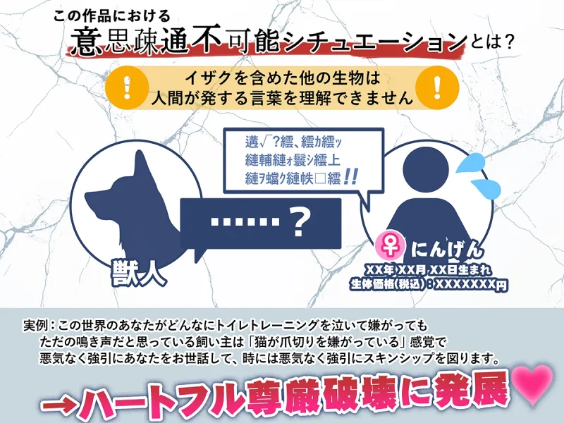 本文説明画像