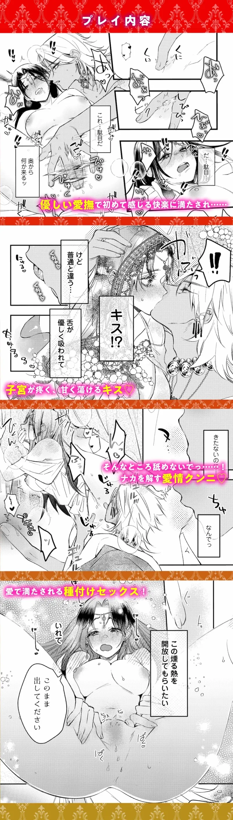 本文説明画像