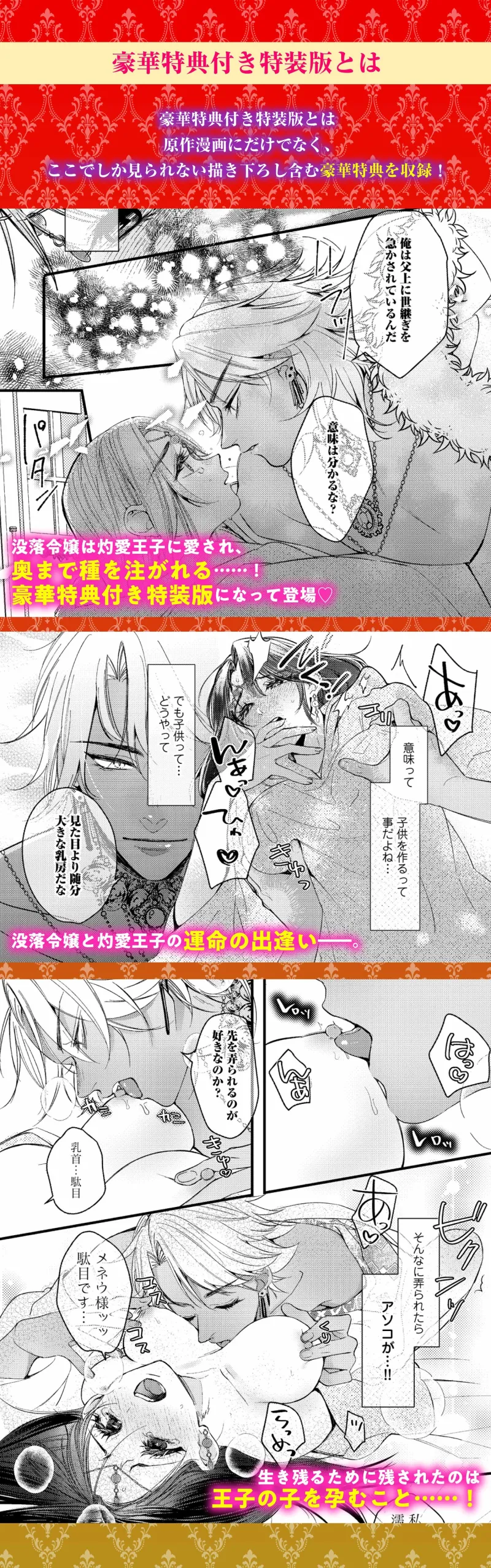 本文説明画像