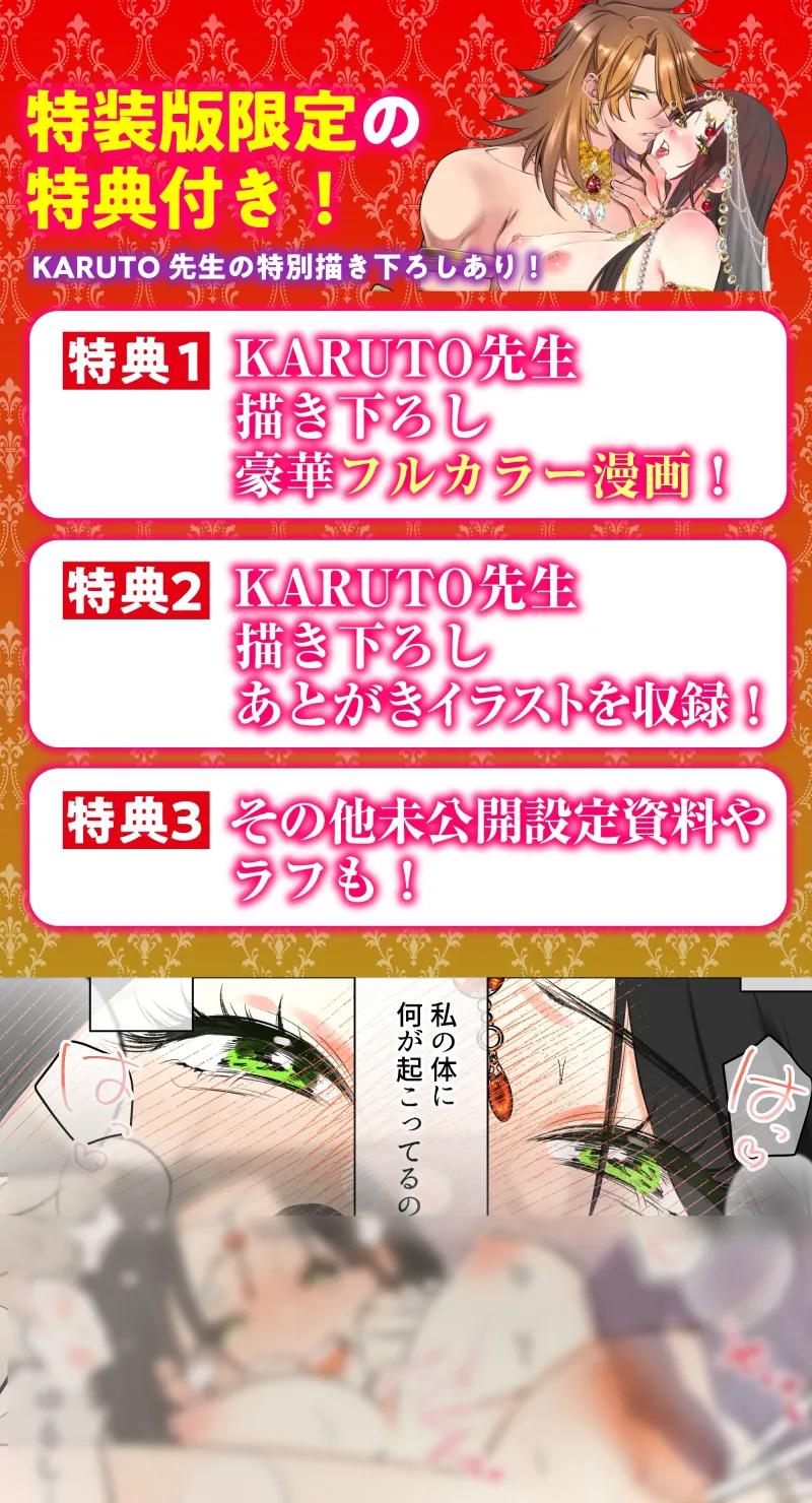 本文説明画像