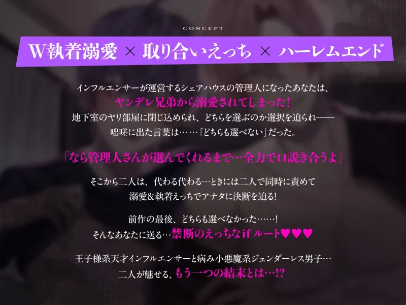 本文説明画像