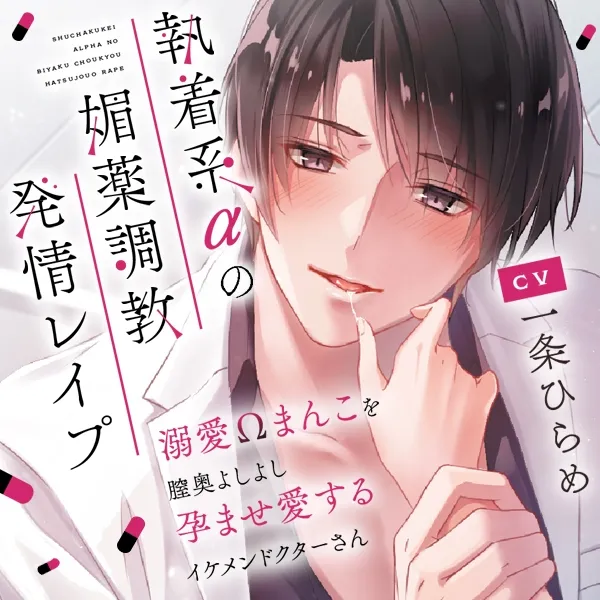 本文説明画像