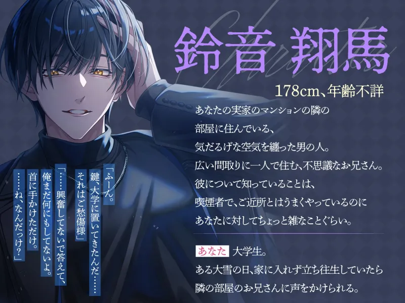 本文説明画像