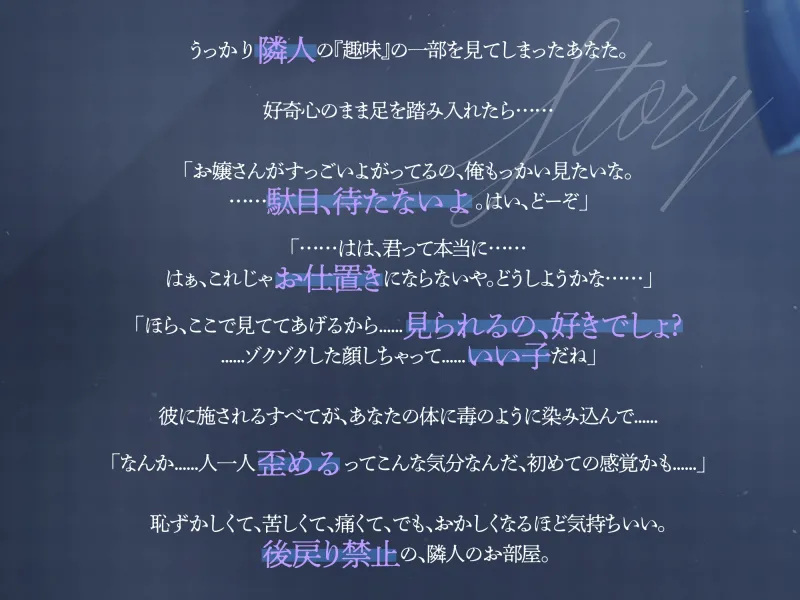 本文説明画像