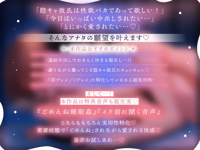 本文説明画像