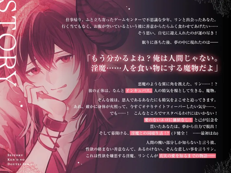 本文説明画像
