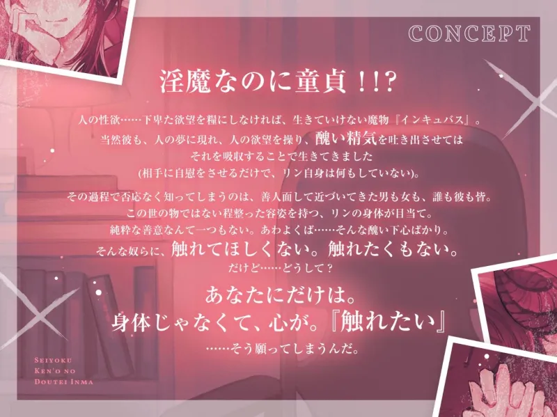 本文説明画像