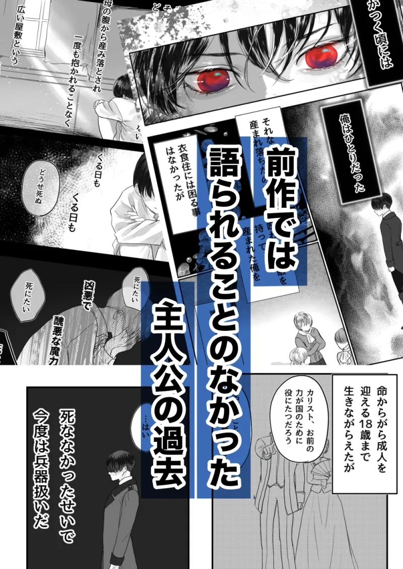 本文説明画像