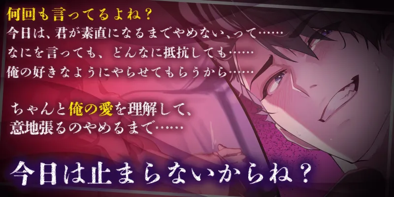 本文説明画像