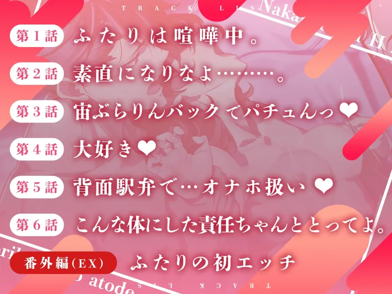 本文説明画像