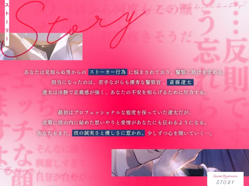 本文説明画像