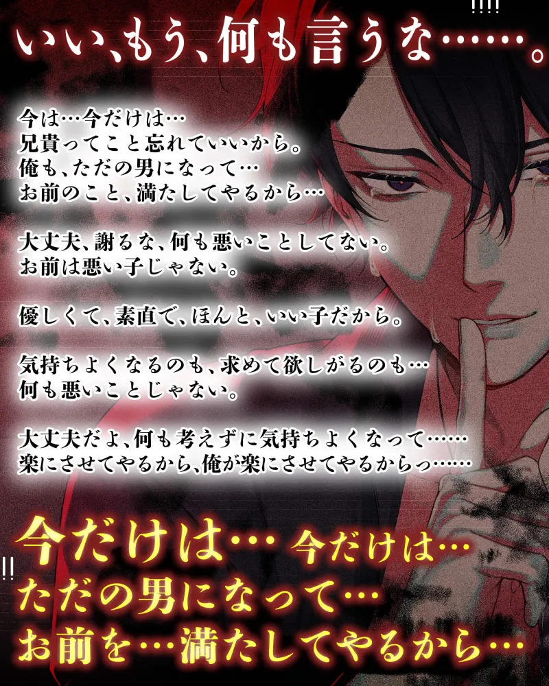 本文説明画像