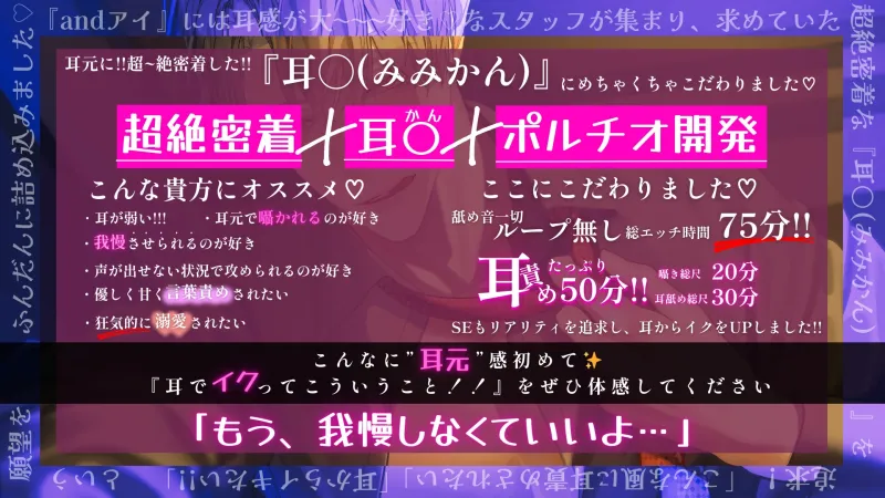 本文説明画像
