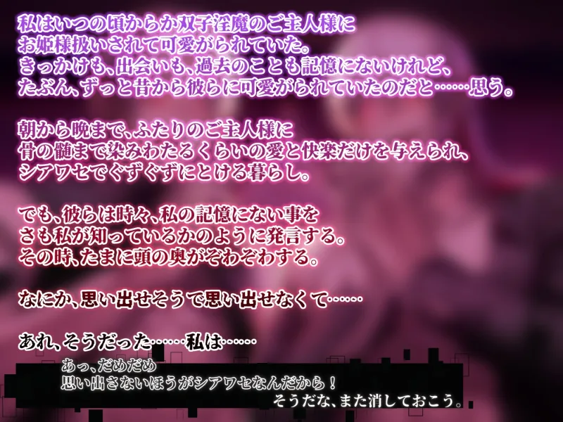 本文説明画像
