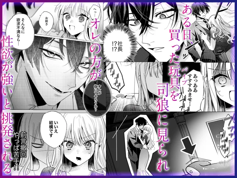 絶倫社長の愛玩うさぎ～性欲の強い男女がセックスしたら?～