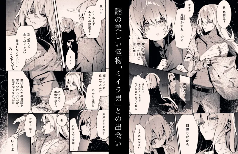 吸血鬼様とちいさなメイドのみだりな吸血2 吸血鬼様とちいさなメイドのみだりな吸血2