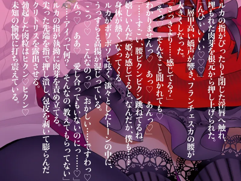 本文説明画像