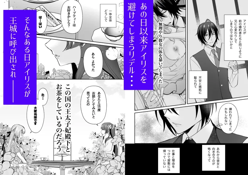 転生したのでメインヒーローの弟と結婚しました2 転生したのでメインヒーローの弟と結婚しました2