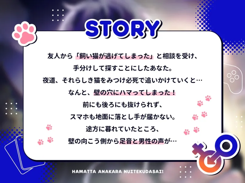 本文説明画像