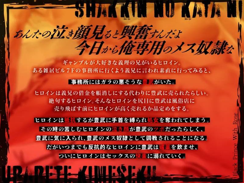 本文説明画像