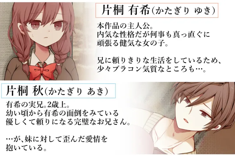本文説明画像