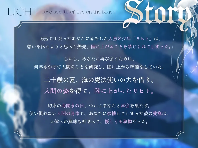 本文説明画像