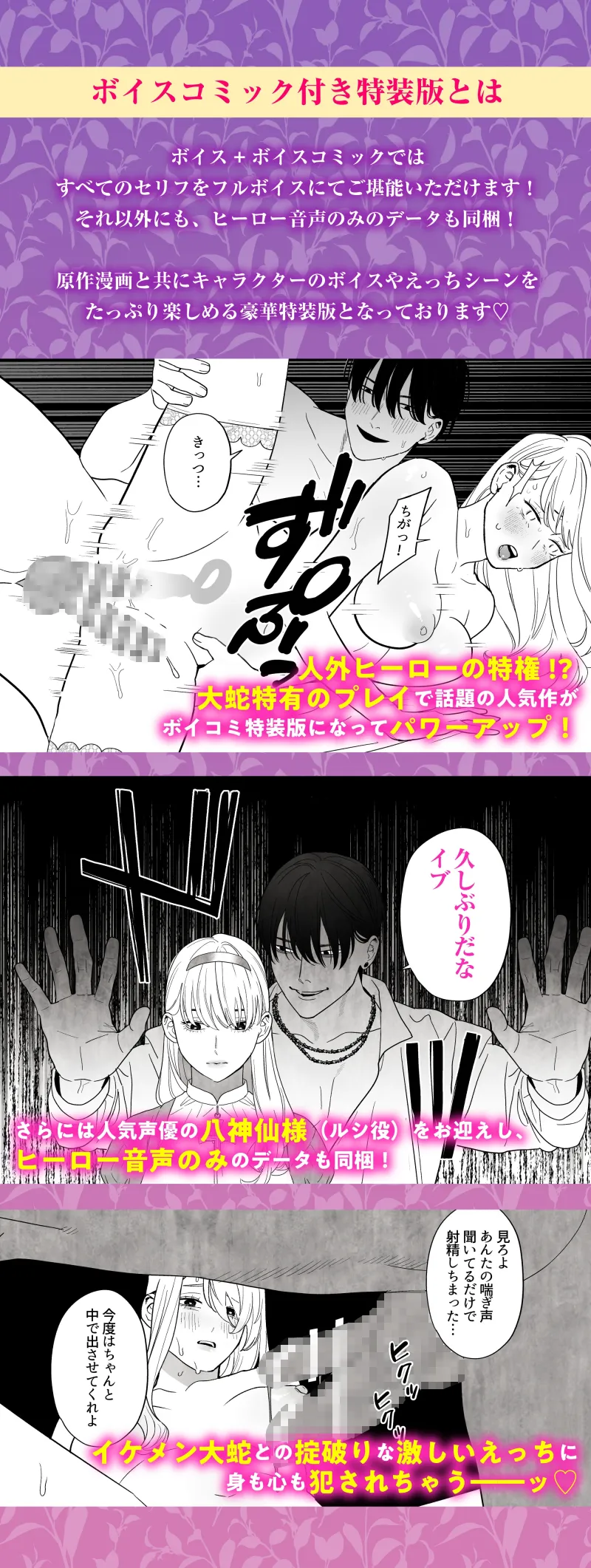 本文説明画像