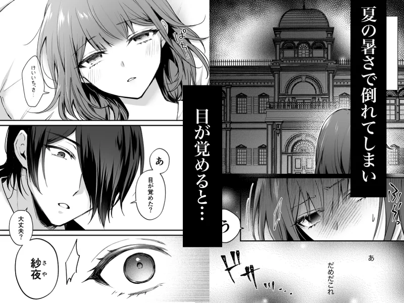 本文説明画像